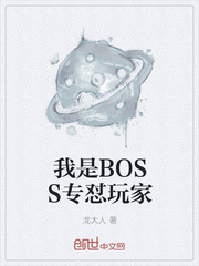 我是BOSS专怼玩家全文阅读